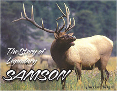 AF- Samson- LEGEND OF THE FALL - SERIES